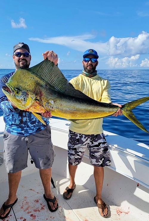 Mahi Mahi